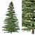 Epic Cedar Tree 3D Model 3D model small image 1