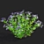 Divaricate Phlox Flower Collection 3D model small image 5