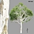  4 Tree Models Set Vol.252 3D model small image 1