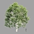  4 Tree Models Set Vol.252 3D model small image 4