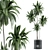 Modern Indoor Plant Model 161 3D model small image 1