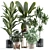 Customizable Indoor Plant Model 3D model small image 1