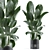 Modern Indoor Plant Model 164 3D model small image 1