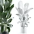 Modern Indoor Plant Model 164 3D model small image 3