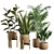 Exotic Indoor Plants Collection Pack 3D model small image 1