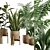 Exotic Indoor Plants Collection Pack 3D model small image 2