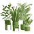 Exotic Indoor Plants Collection Pack 3D model small image 3