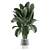 Modern Indoor Plant Model 166 3D model small image 2