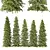 Cedar Tree Models Set 3D model small image 1