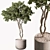 Leafy Green Potted Tree 3D model small image 1