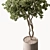 Leafy Green Potted Tree 3D model small image 2