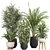 Minimalist Indoor Plants Set 043 3D model small image 1