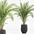 Minimalist Indoor Plants Set 043 3D model small image 4