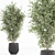 Minimalist Indoor Plants Set 043 3D model small image 5