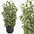 Minimalist Indoor Plants Set 043 3D model small image 6