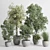 Concrete Vase Indoor Tree Plant 3D model small image 1