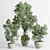 Concrete Vase Indoor Tree Plant 3D model small image 6