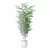  Exotic Plants Bamboo Collection 3D model small image 5