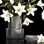 White Blossom Collection in Glass Vase 3D model small image 3