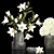 White Blossom Collection in Glass Vase 3D model small image 6