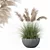 High-Quality Grass Plant Collection 3D model small image 1