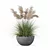 High-Quality Grass Plant Collection 3D model small image 2