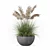 High-Quality Grass Plant Collection 3D model small image 3