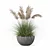 High-Quality Grass Plant Collection 3D model small image 4