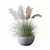 High-Quality Grass Plant Collection 3D model small image 5
