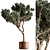 Based on the provided product description, here is a translated title suggestion: 

 Botanical Marvel Tree Plant 3D model small image 1