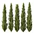 Cedrus Deodara 3D Tree Models 3D model small image 1