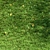 Wild Meadow Grass Set 3D model small image 1