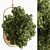 Hanging Indoor Plant 690 3D model small image 1