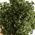 Hanging Indoor Plant 690 3D model small image 3