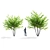 Sugar Maple Multi-Stem Tree Bundle 3D model small image 2