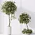 Modern Indoor Plant Set 3D 3D model small image 3