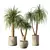 Modern Minimalist Indoor Plant Set 3D model small image 1