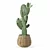 Desert Plant 3D Model Kit 3D model small image 2