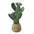 Desert Plant 3D Model Kit 3D model small image 4