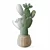 Desert Plant 3D Model Kit 3D model small image 5