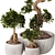 TurboSmooth Bonsai Set with V-Ray & Corona Render 3D model small image 3