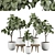 Ficus 25 Indoor Plant 3D 3D model small image 1