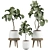 Ficus 25 Indoor Plant 3D 3D model small image 2