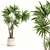 Modern Plant Set for Interiors 3D model small image 5