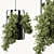 Lush Hanging Indoor Plant 3D model small image 1