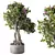 Leafy Trio Plant Set 113 3D model small image 2