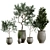 Plant Collection in Pots, Height 62-180cm 3D model small image 1