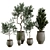 Plant Collection in Pots, Height 62-180cm 3D model small image 3