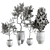 Plant Collection in Pots, Height 62-180cm 3D model small image 6