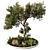 Exquisite Outdoor Plant 3D Model 3D model small image 1